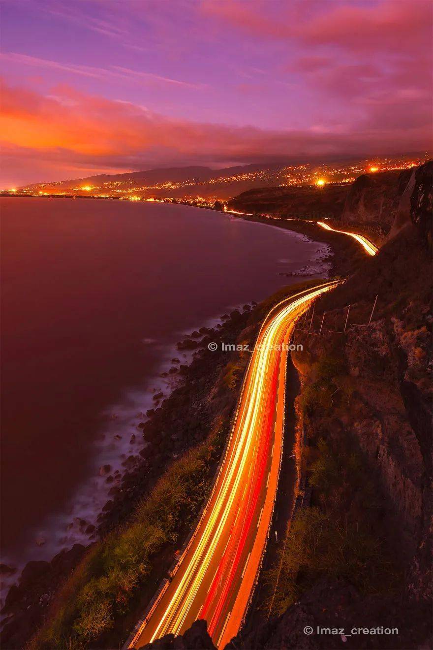 他们把仙人掌转化为"皮革",你敢穿吗?_产品