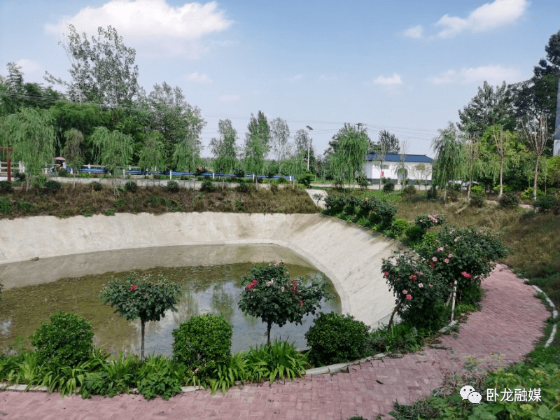 专栏创文进行时卧龙区青华镇任家庄里笑声多