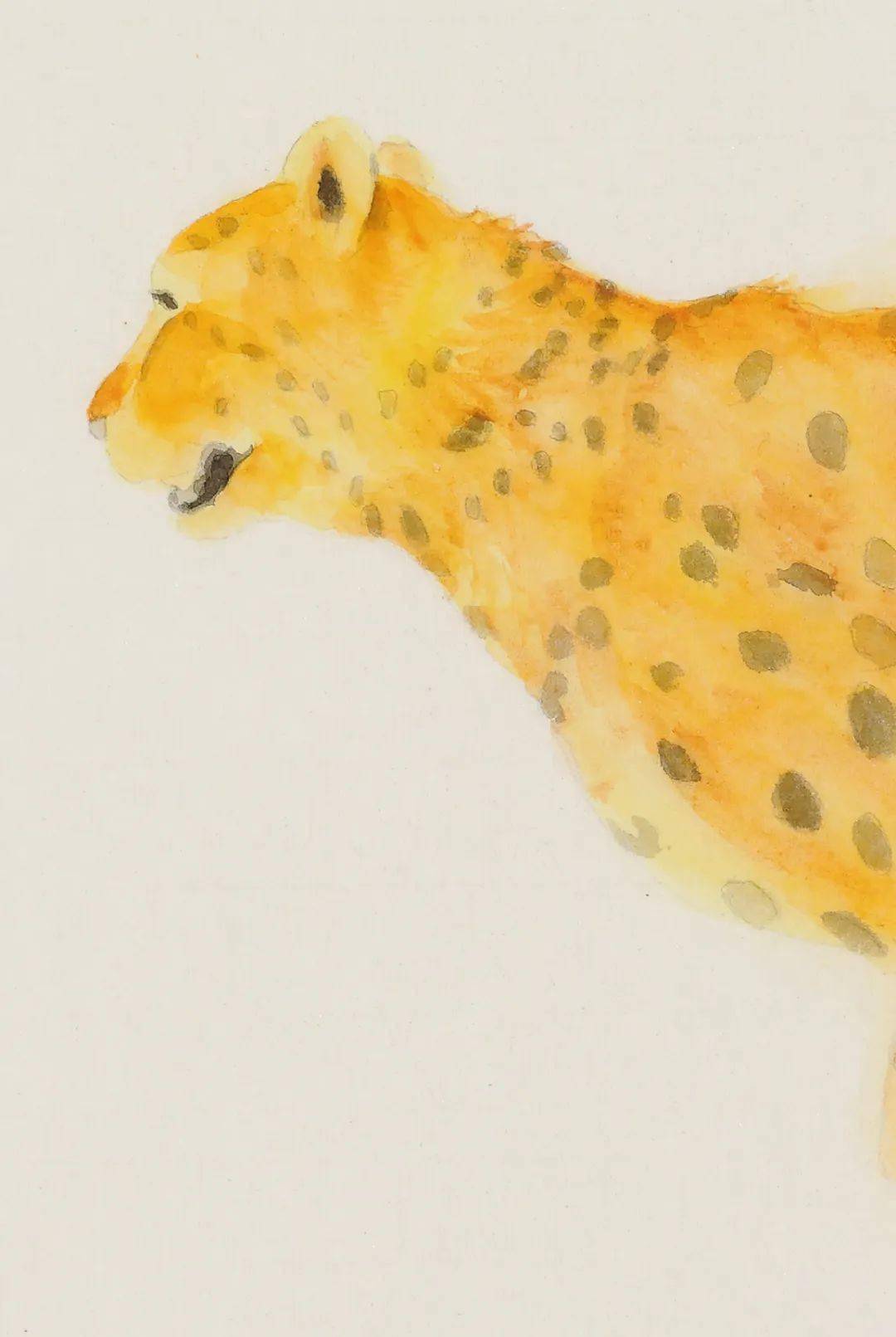 金钱富贵吴晶水墨作品