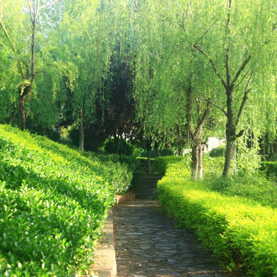 云销雨霁彩彻明,雨后淄师美如画