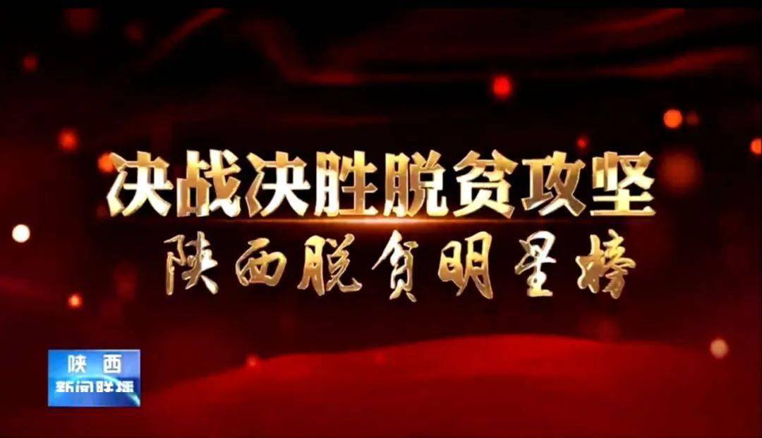 陕西新闻联播脱贫明星榜播发汉滨王仁仓养鸡啄开致富路