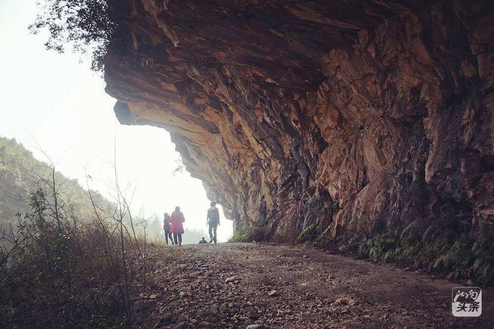 从路边往谷底望下去,悬崖深不可测,这才感叹,竟然真的攀爬了一座山.