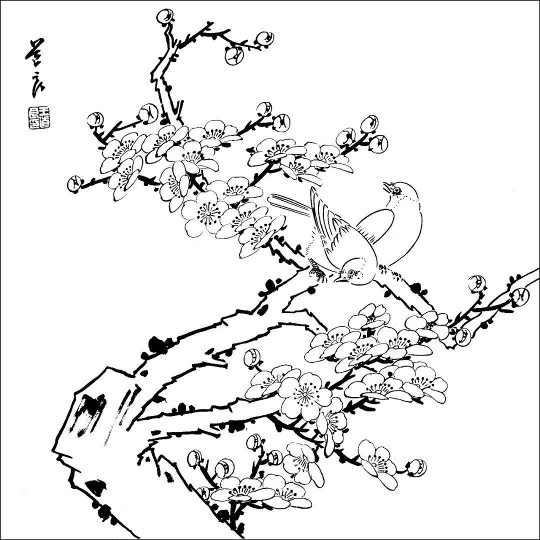 花鸟的白描就应该这么画