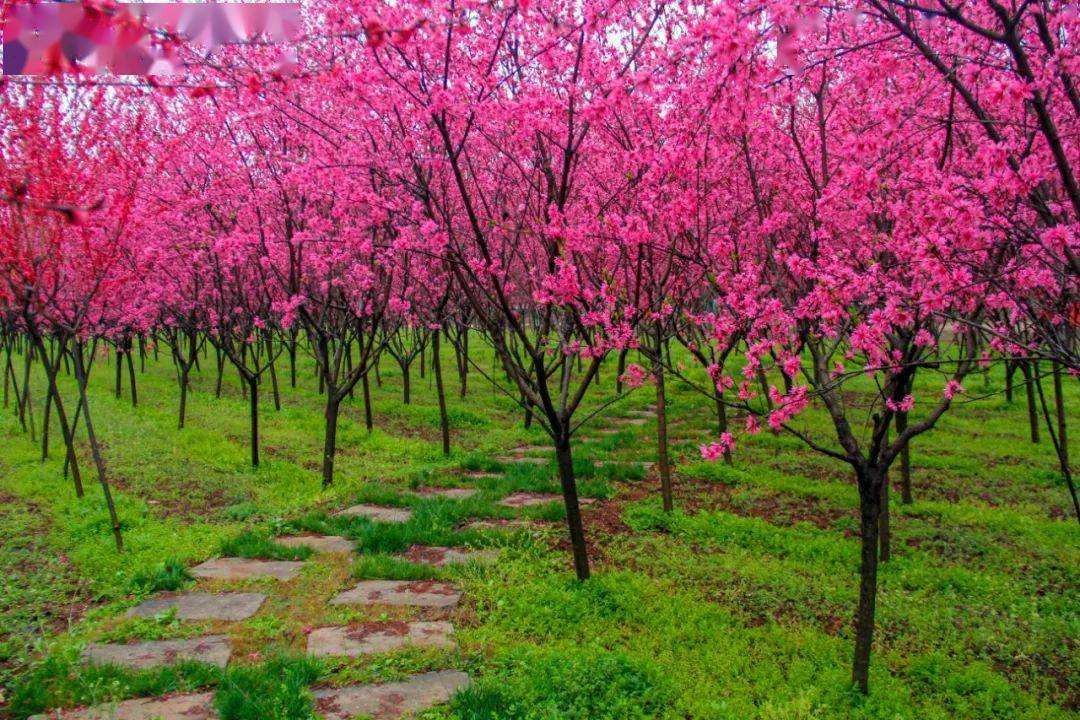 亲子玩现仅29元88元优享门市价129元269元的百邻