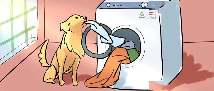 隔壁小区的狗子大着肚子找上门来了,怎么办?_蛋蛋