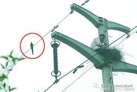 220伏并联有多少人都能电死 手拉手串联最少电死四个_xx