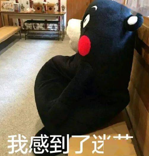 华师遗憾排行榜top10比没谈恋爱更让人后悔的是