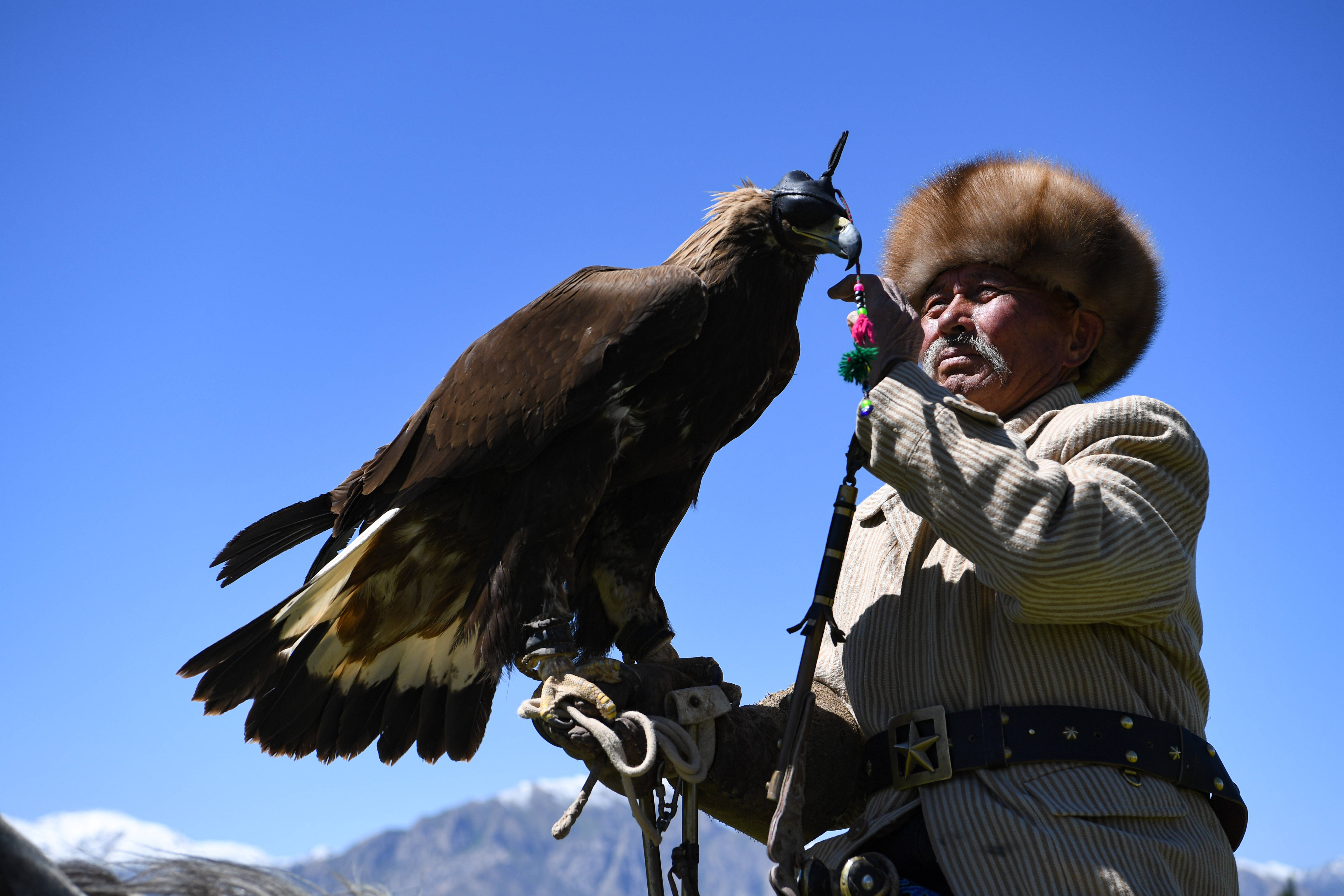 2020年6月30日远山的鹰语者6月29日,库尔马西·胡特曼抚摸他的猎鹰