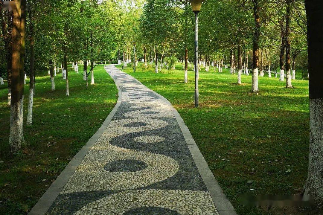 偌大的锦城公园,如果孩子觉得不好玩怎么办?_石板滩