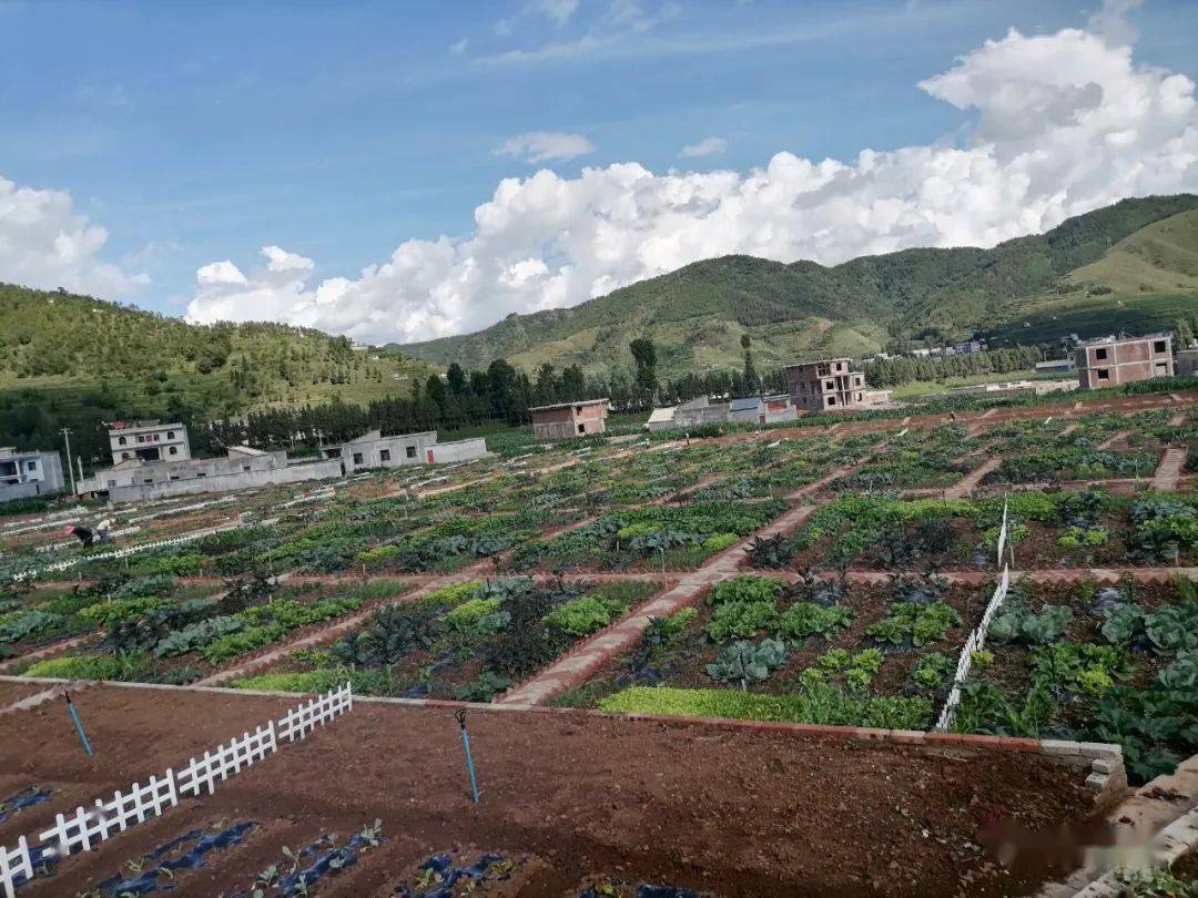 该农场地处扯戛社区发落冲村民小组,占地260亩,现已建成露天家庭农场