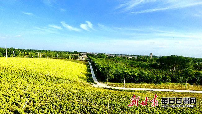 西峰区城南绿地公园海绵城市试点