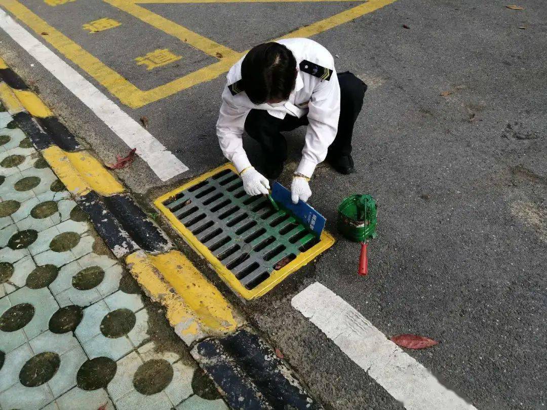 【人文·我们】百合园区亮化,美丽进行中