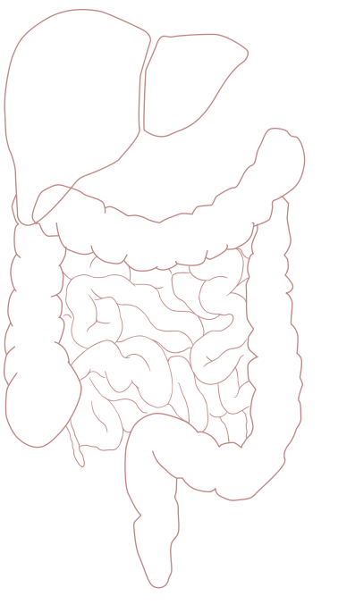 ps科研绘图免疫重建中的内脏肝脏轴1