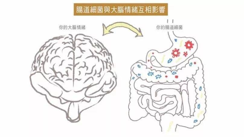 比如出現脂肪代謝障礙,就會引發