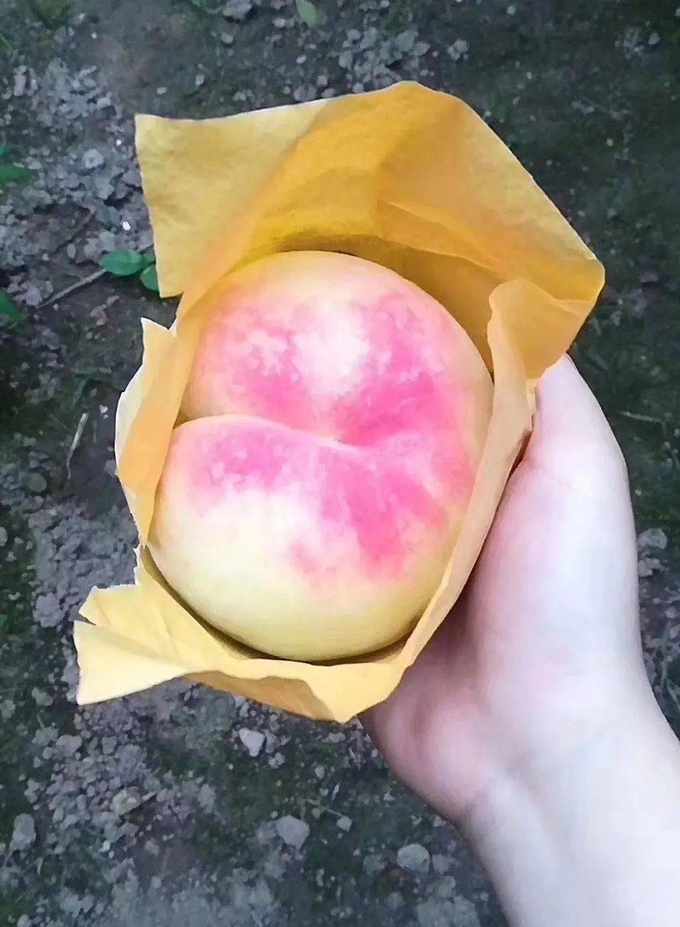 邻居购物正宗阳山水蜜桃现摘现发果园直送梅陇