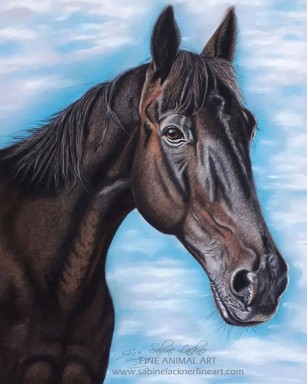 动物类写实彩铅手绘