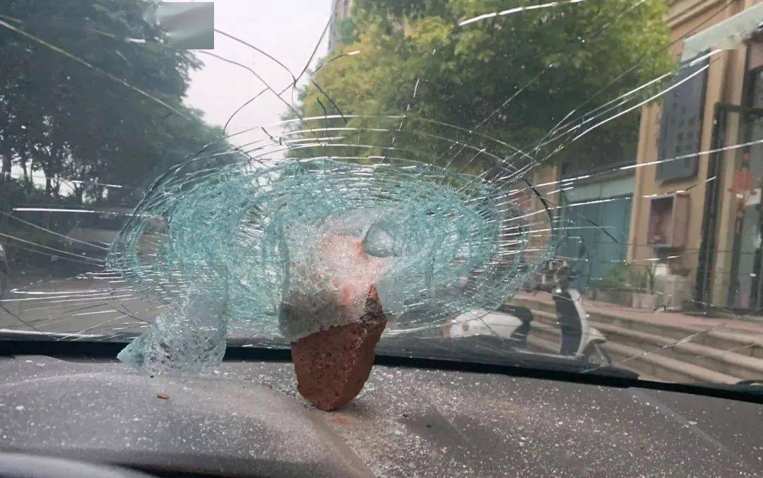 高空抛物等行为或将入刑