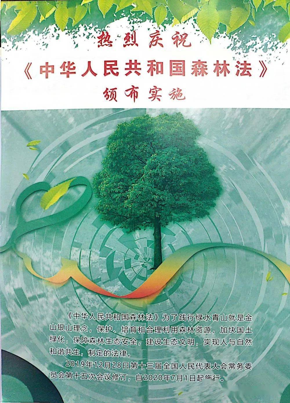 新修订的中华人民共和国森林法7月1日起实施