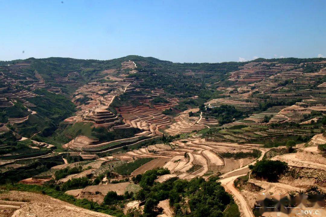 甘谷梯田立体综合治理把贫瘠田变成金土地