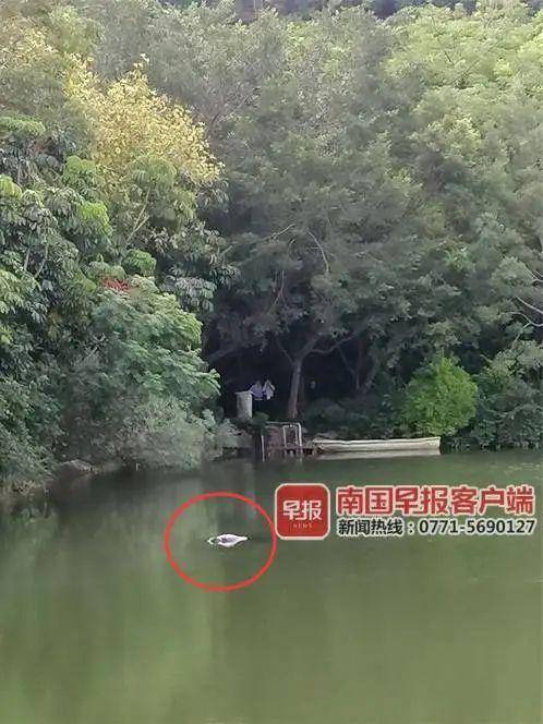 南宁一公园内发现浮尸,系一名50岁男子