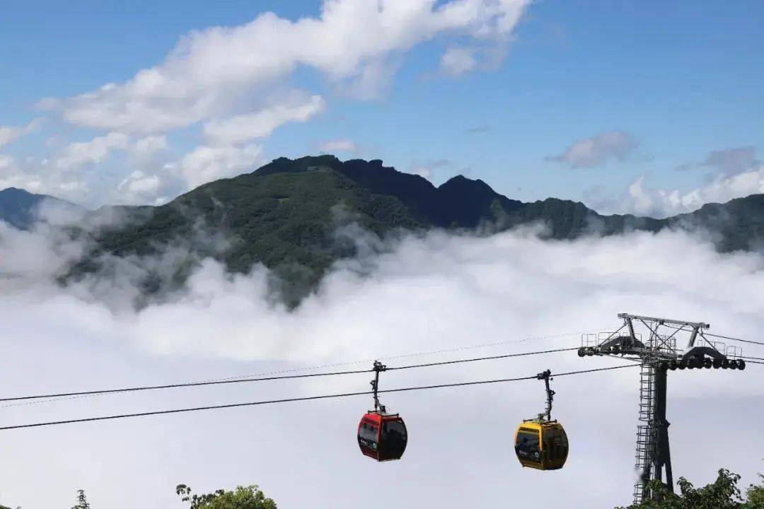 景美价格更美汉中龙头山云海仙山最新大片出炉