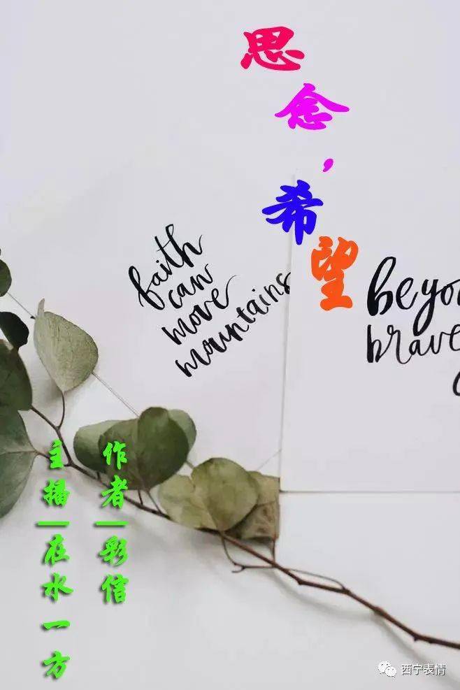 奔向希望一段流金岁月从指间划过牵着疲惫的身影夜归那蹒跚的脚步里都