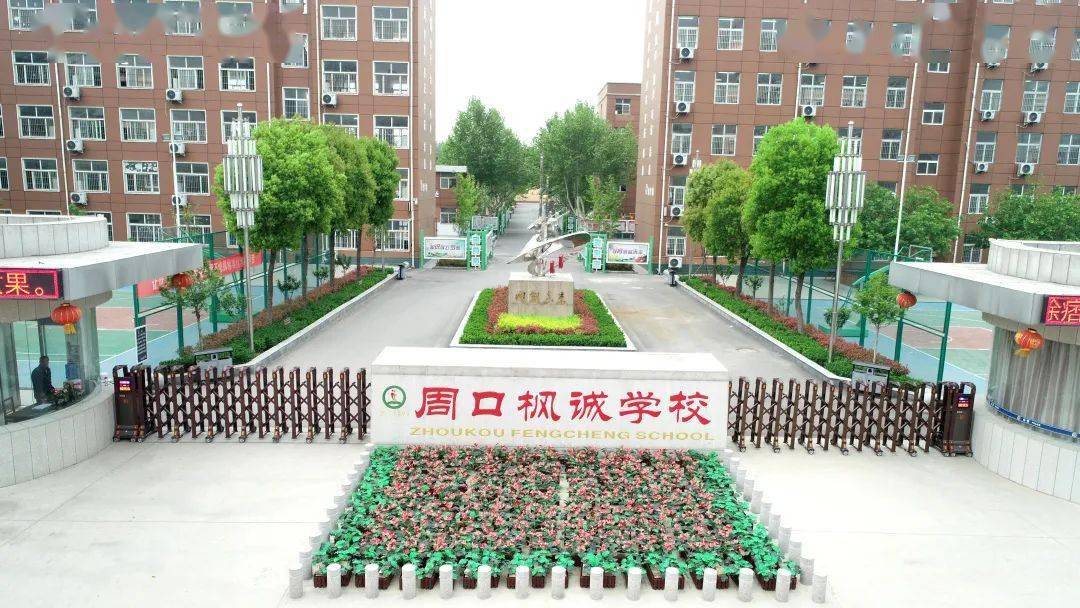 招教公告周口枫诚学校诚邀英才共筑教育梦想