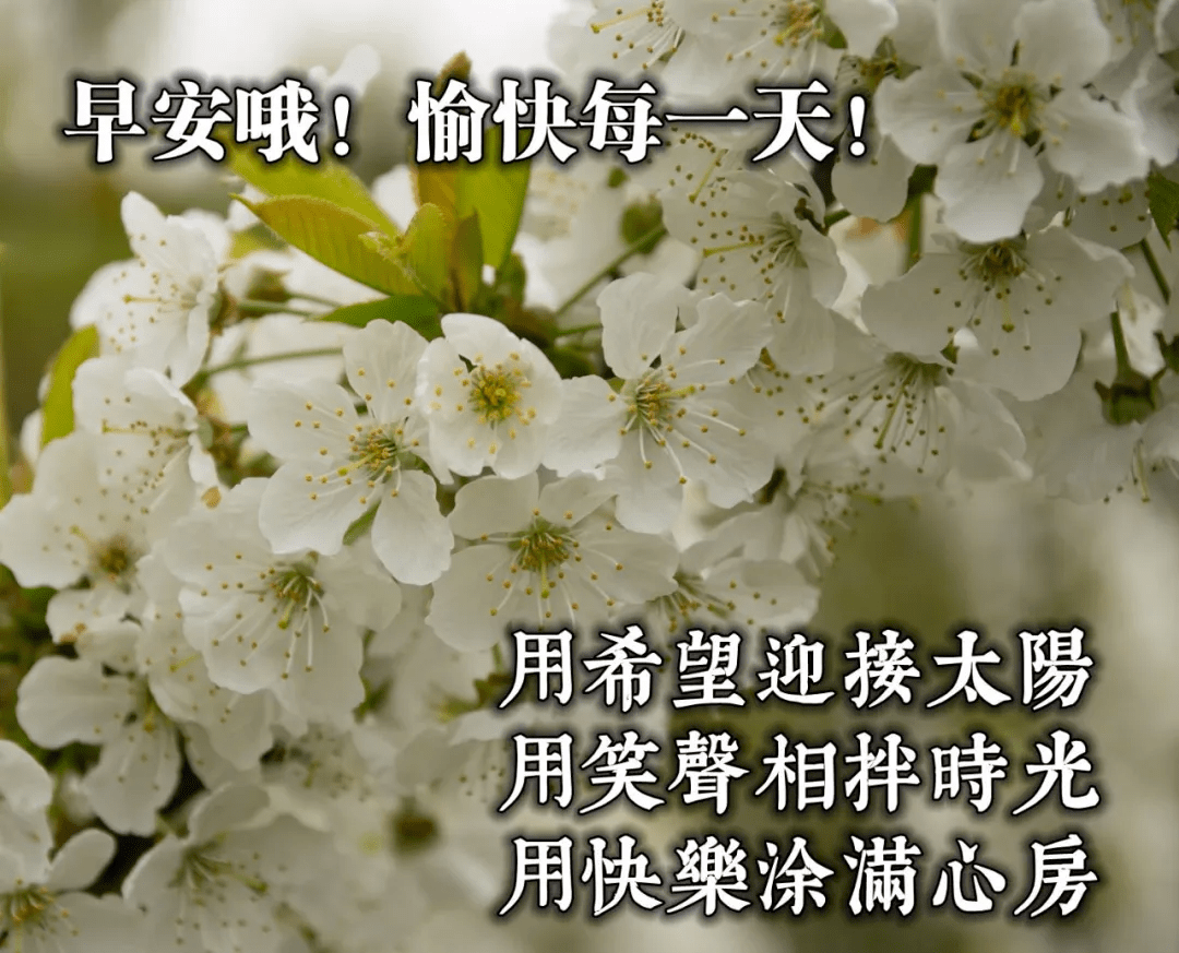 早晨心语唯美图片大全周五微信群发表情早安祝福语