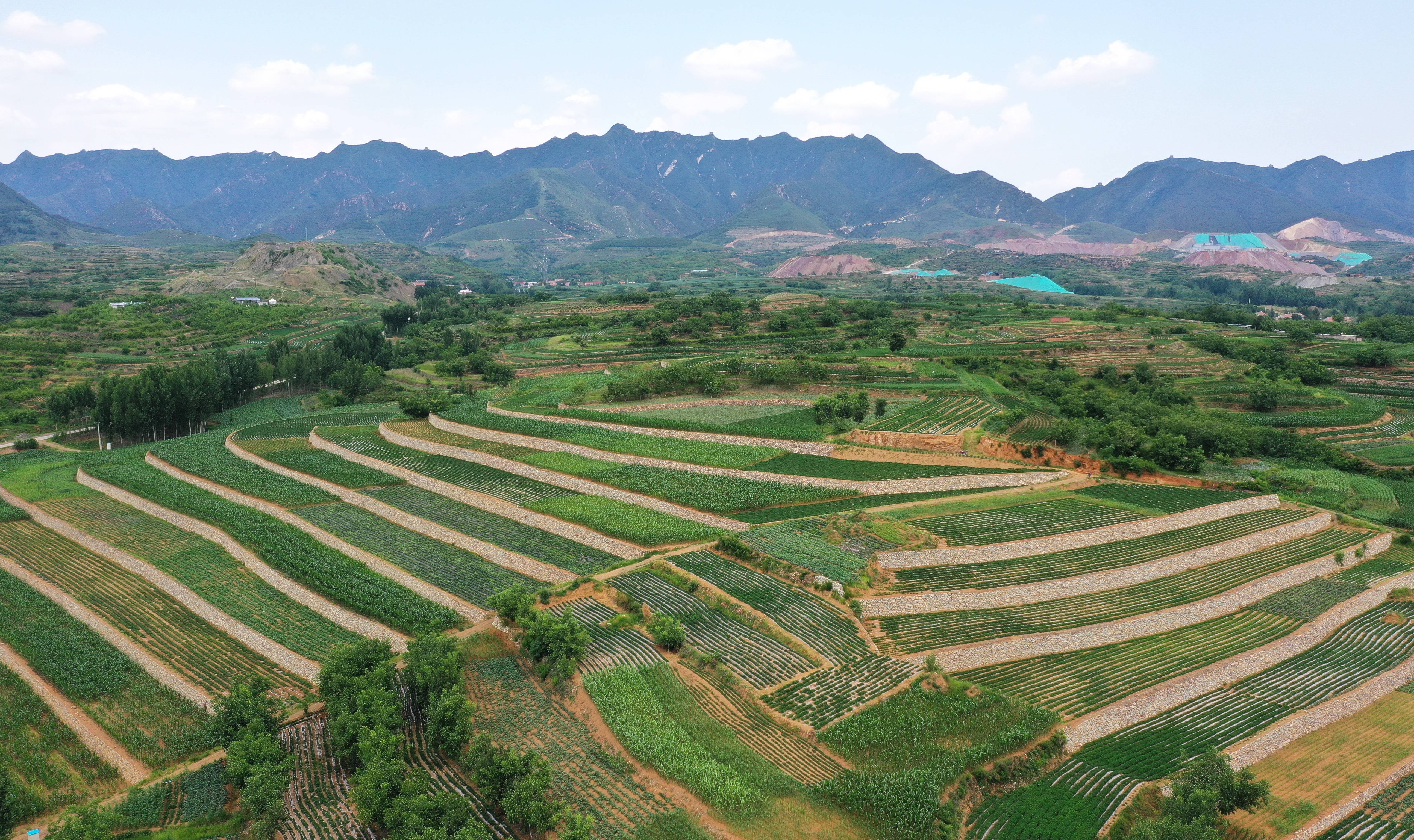 新华社照片,唐山(河北,2020年7月4日 修复矿山"疮疤 绿化美丽家园