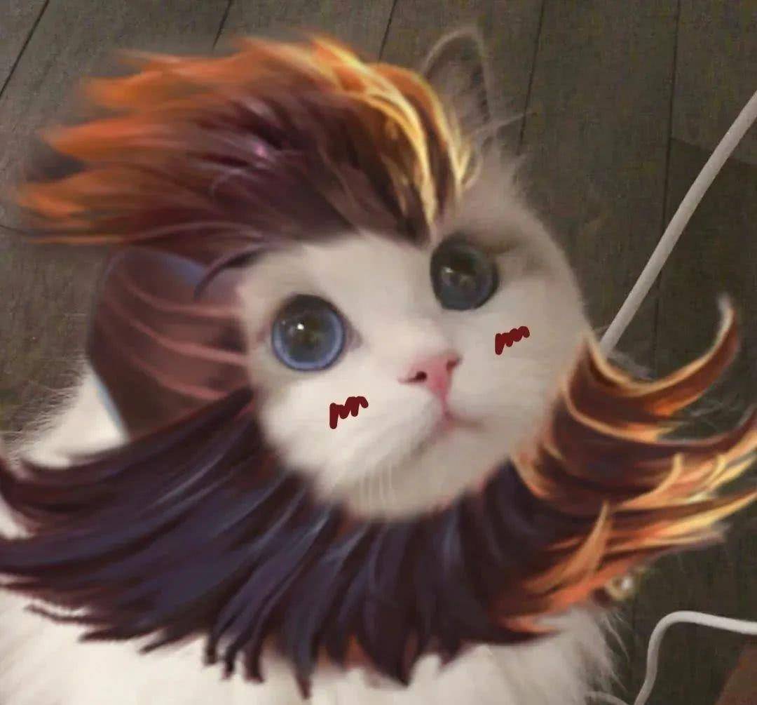 最近很火的王者荣耀猫头表情包大家看看哦