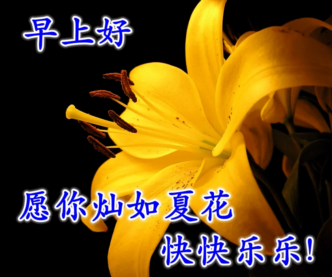 早上好,夏季早安祝福語鮮花圖片大全,唯美早晨問候表情