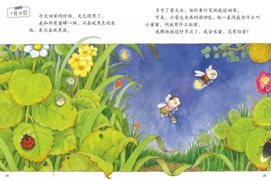 家庭亲子绘本阅读——《蜜蜂的日记》