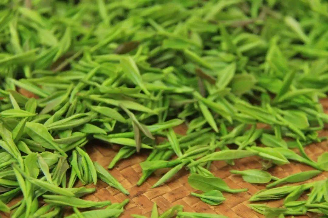 云泉茶是树山的三宝之一,早在东晋时就已声名远播,距今已有一千多年