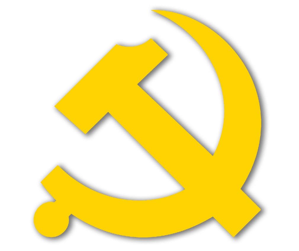 西河村党支部荣获安徽省先进党组织称号!