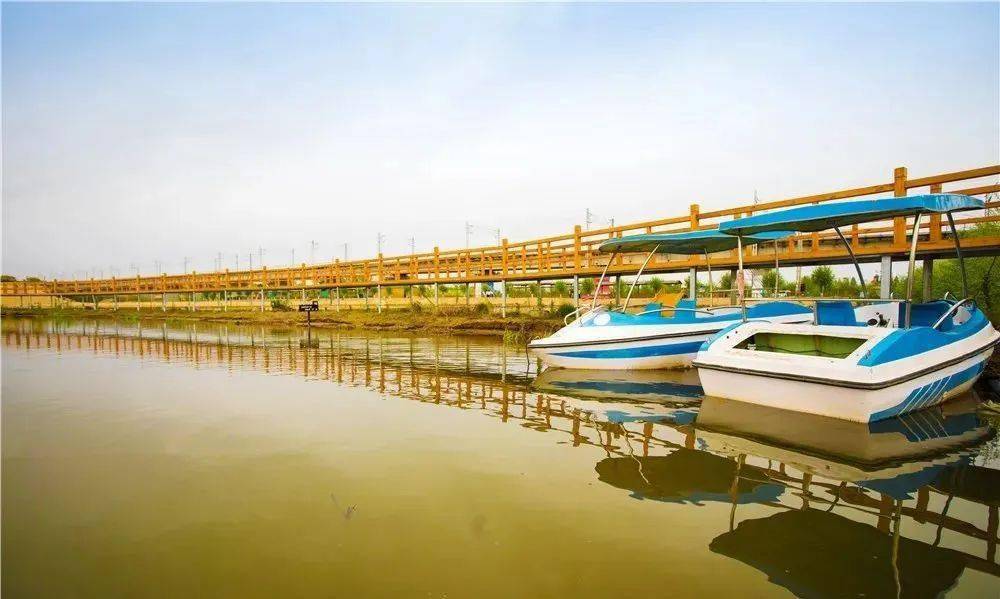 悠悠浅夏莫负时光来榆林孟家湾水乡领略别样草滩风情