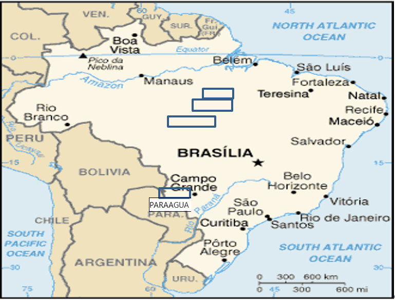 甜蜜回忆之吹哨的brazil