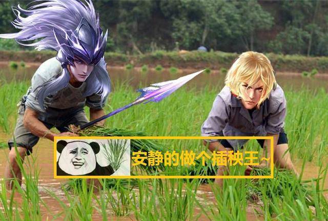 "肥马插秧"逐渐成为峡谷主流,操作变得简单,s20上王者靠他了_马超