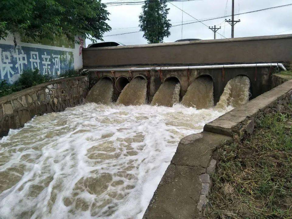 【应城】长江埠加急抢排 千亩农田渍水消退 工农业有序生产