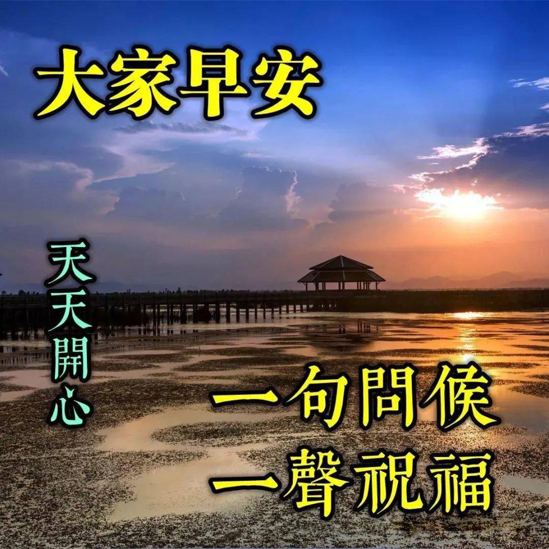 非常溫暖的早上好陽光問候語表情圖片帶鮮花 2020最溫馨早晨好祝福