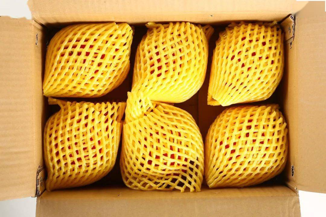 的火龙果手工采摘, 果农顶着烈日在果园里,凭借经验寻摸9分熟的果子