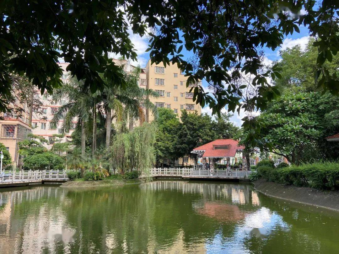 环境变美进行时!滘心落力打造"一河两岸三公园"