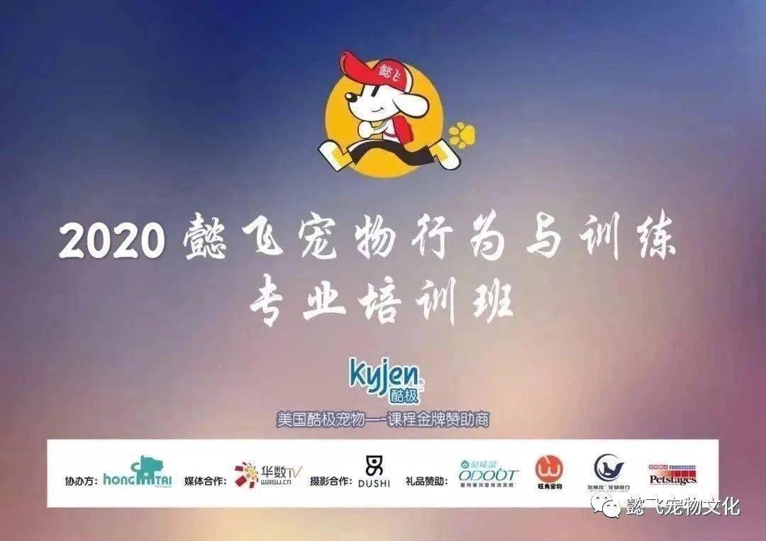 2020懿飞训犬师职业培训7月班开始报名