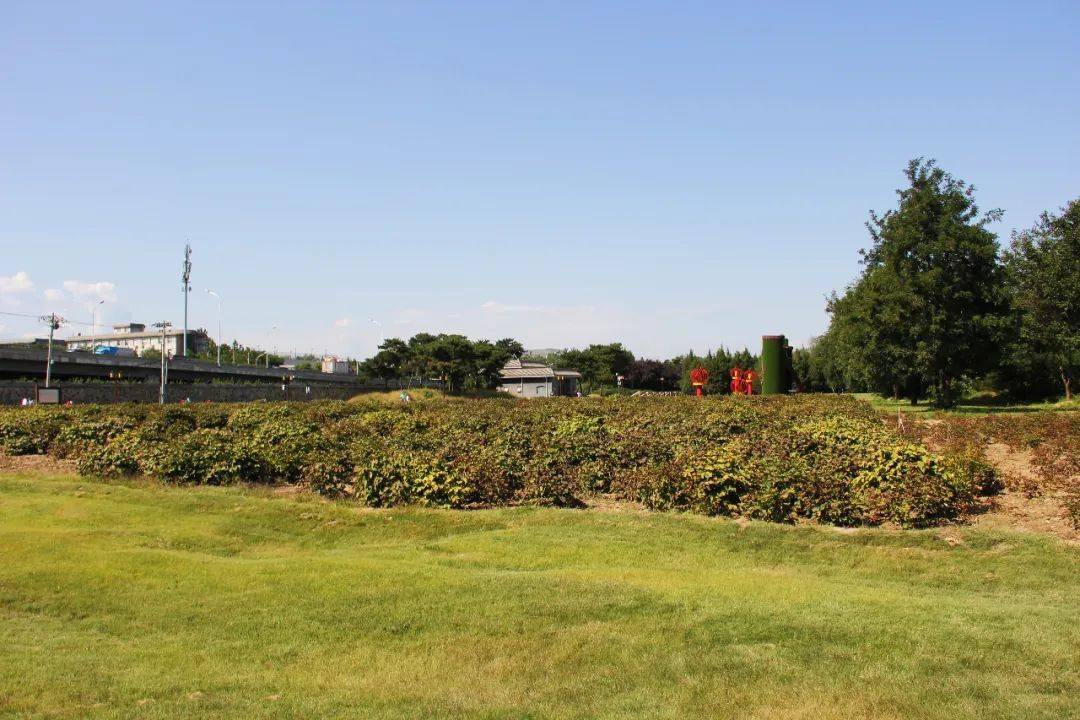 漫游圆明园|西南隅之藻园(下)