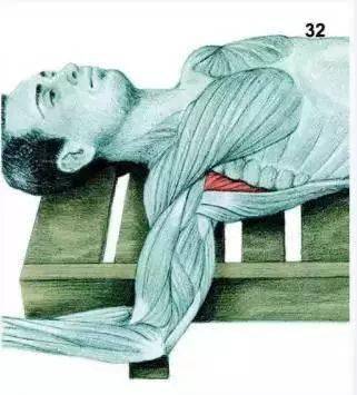 辅助胸部拉伸变体锻炼部位:胸大肌拉伸要点以上拉伸运动,我建议以被动