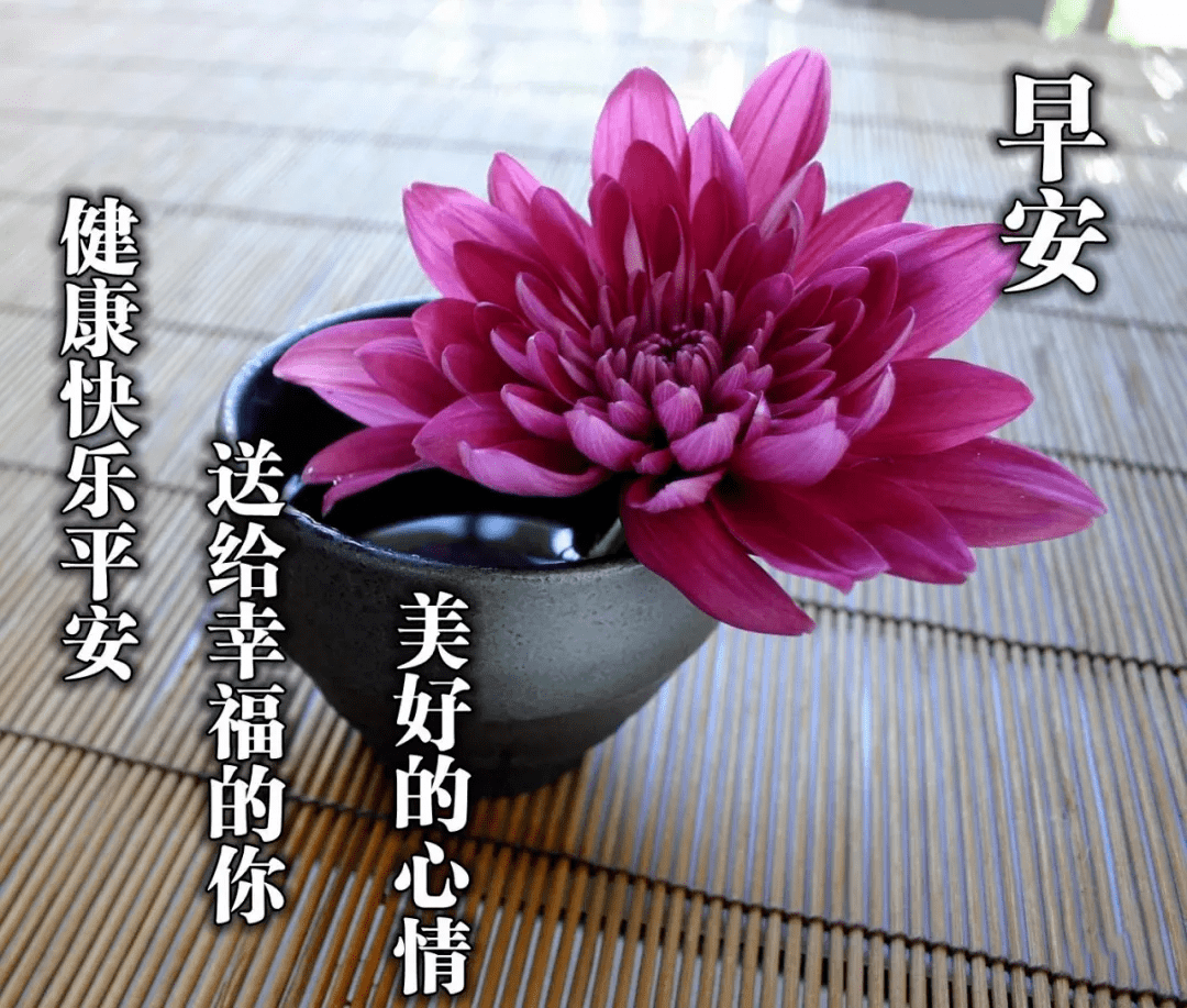 清晨祝福朋友早上好的精美好句子 最甜蜜的早上好问候祝福语带图片