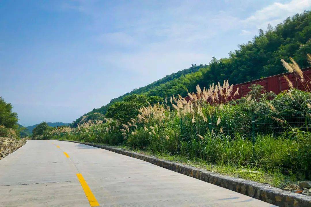 季岙—南联农村公路的正式通车,在原先通村公路的基础上,成了村民出行