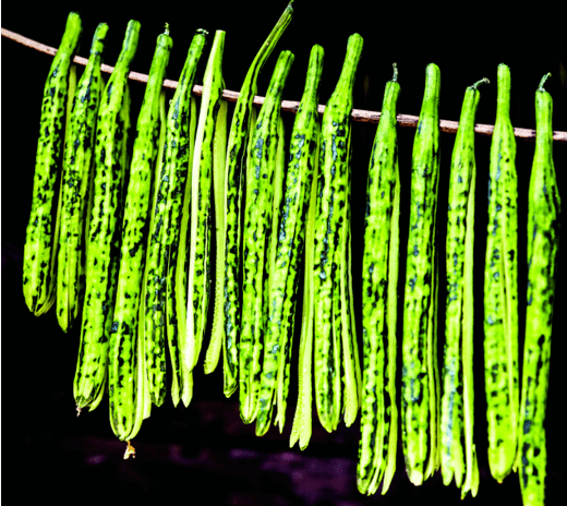 省级非遗丨平定黄瓜干制作技艺