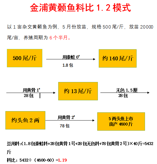 金浦大讲堂养好黄骨鱼的关键点