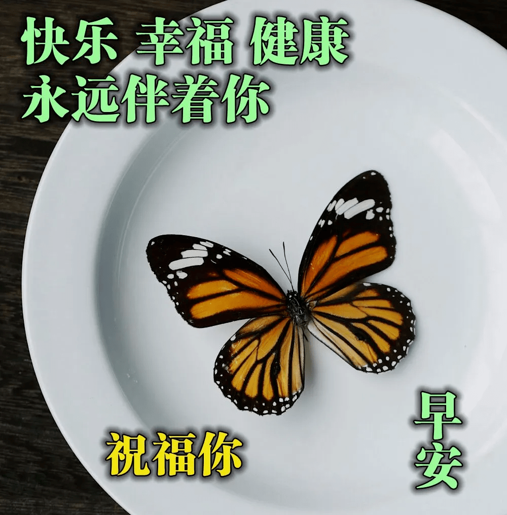 早上好問候語表情圖片大全 早上好祝福語短句子