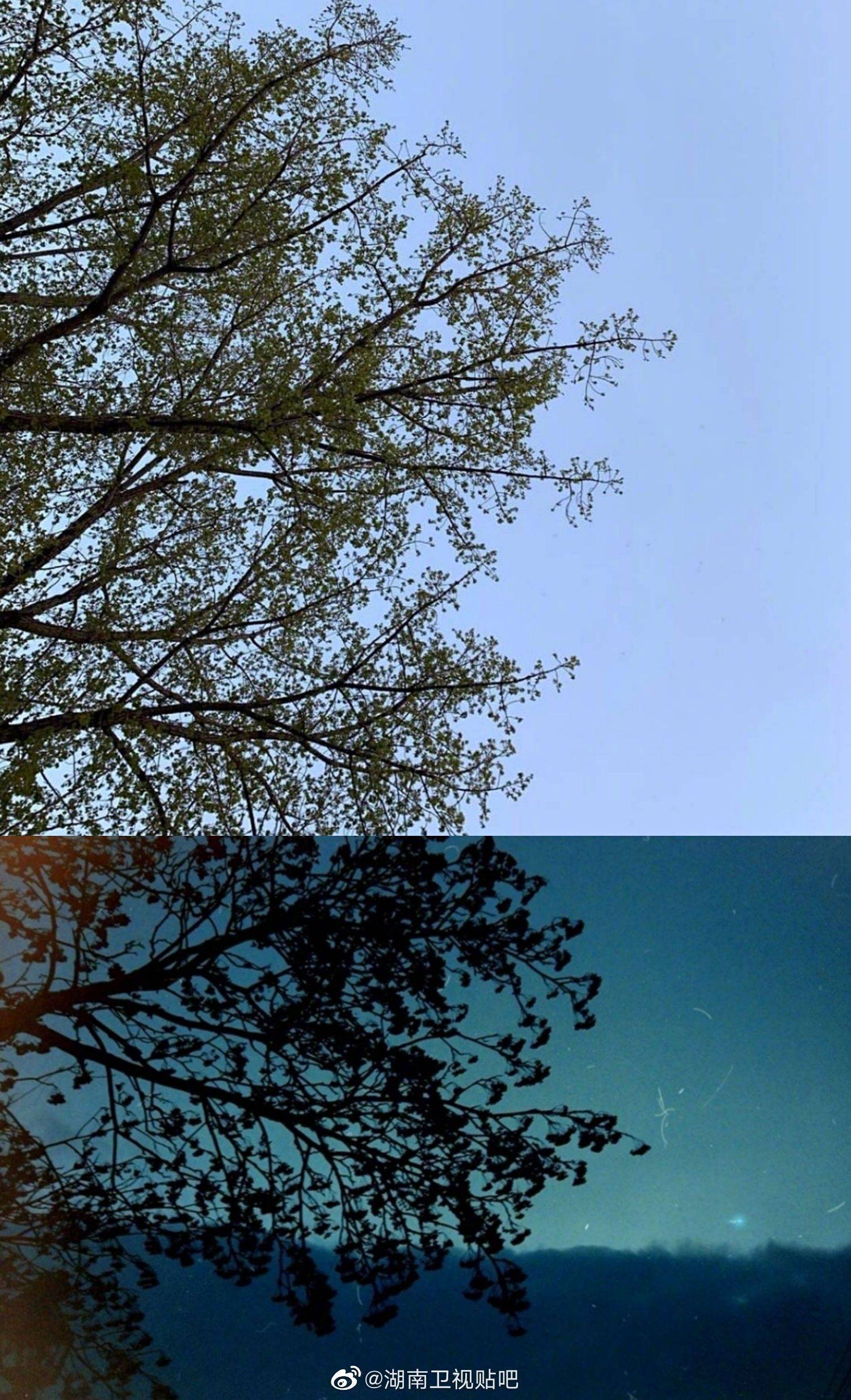 易烊千玺摄影作品合集 少年用镜头记录美好